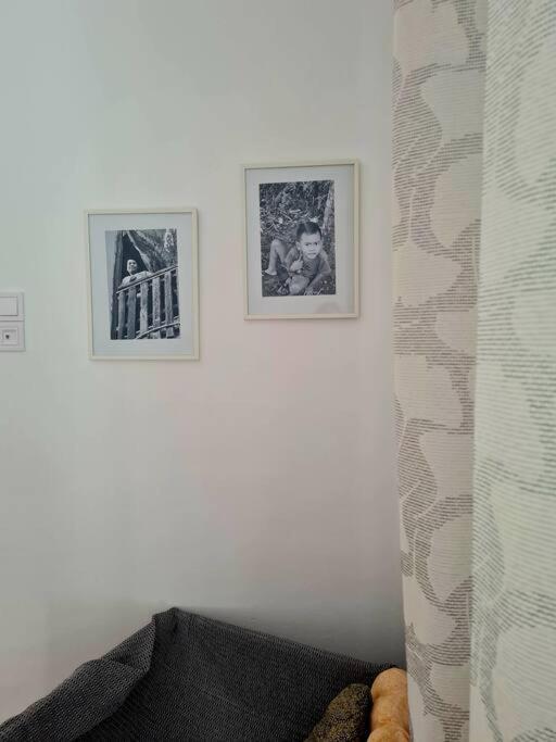 Nara House 2 公寓 Artemida (Attica)